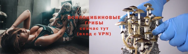 крисы Алзамай